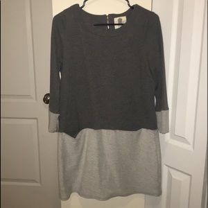Two-toned Gray Dress Sweatshirt Dress
